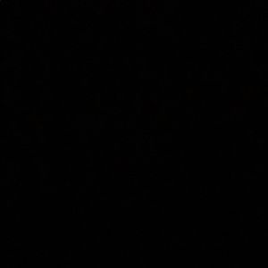 Meet your Posher, Lisandro